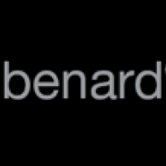 Harvé Benard by B. Holzman (Russia) Ladies Vintage Gray Pin Striped Blazer - Picture 14 of 17